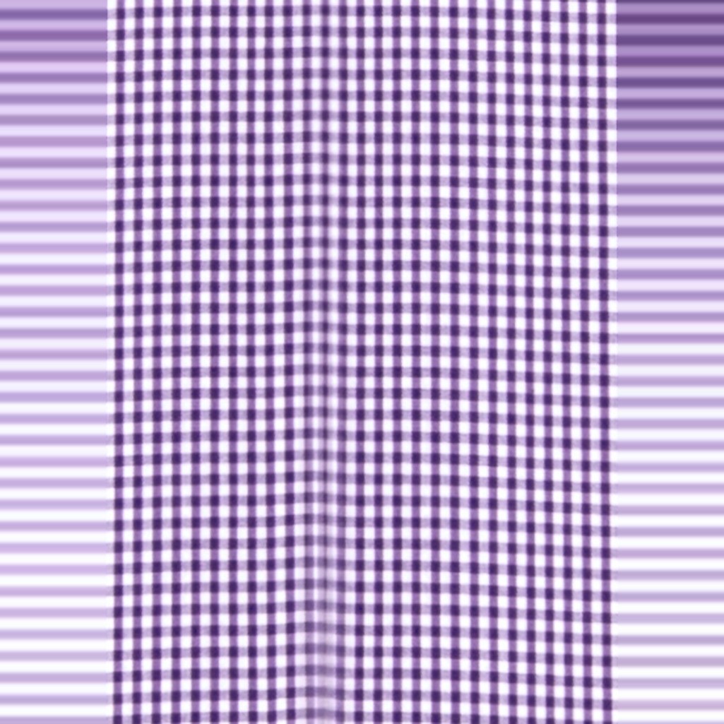 Biz Corporates Newport Mens Short Sleeve Shirt 42522 in Purple Reign, view 3