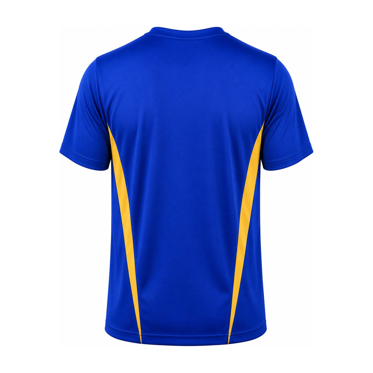 Aussie Pacific Eureka Mens Tee 1204 in Royal/Gold, back view