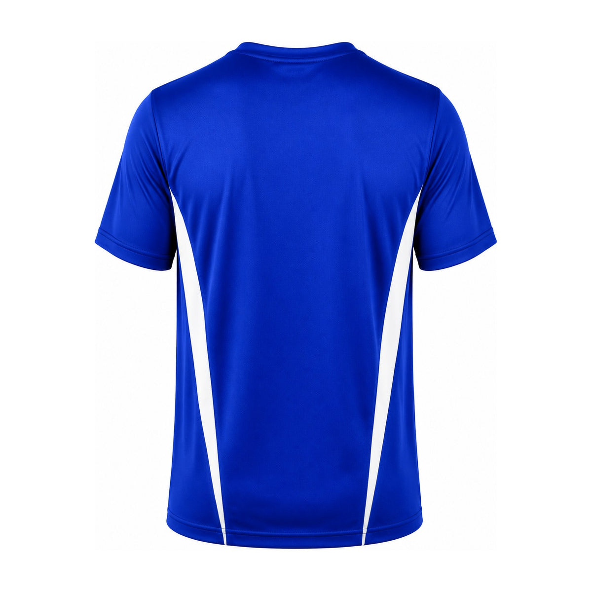 Aussie Pacific Eureka Mens Tee 1204 in Royal/White, back view