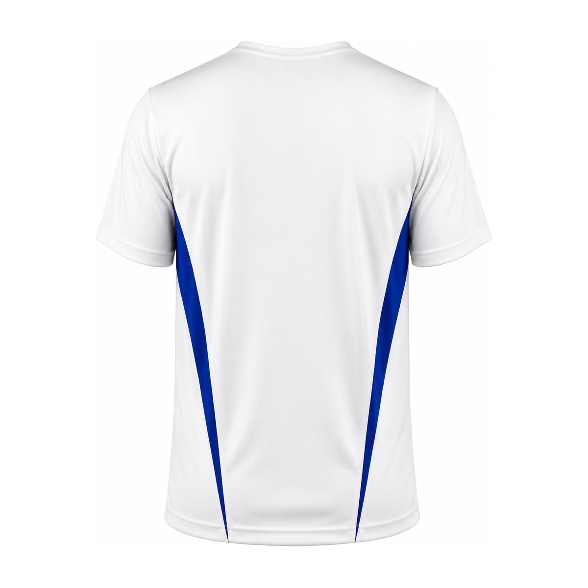 Aussie Pacific Eureka Mens Tee 1204 in White/Royal, back view