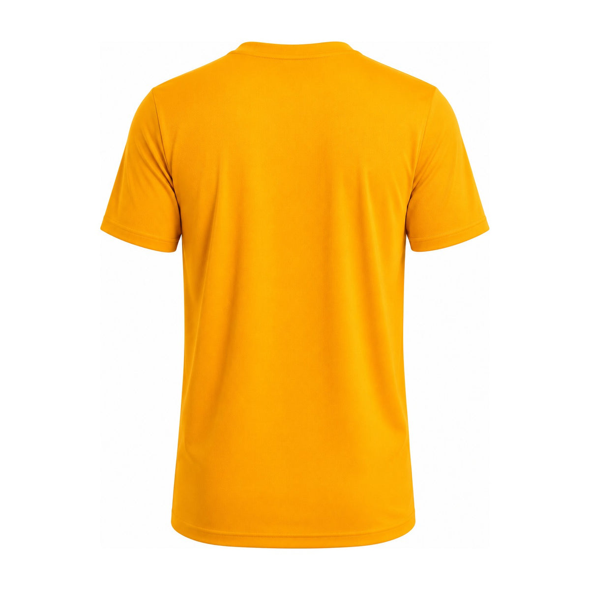 Aussie Pacific Botany Mens Tee 1207 in Gold, back view