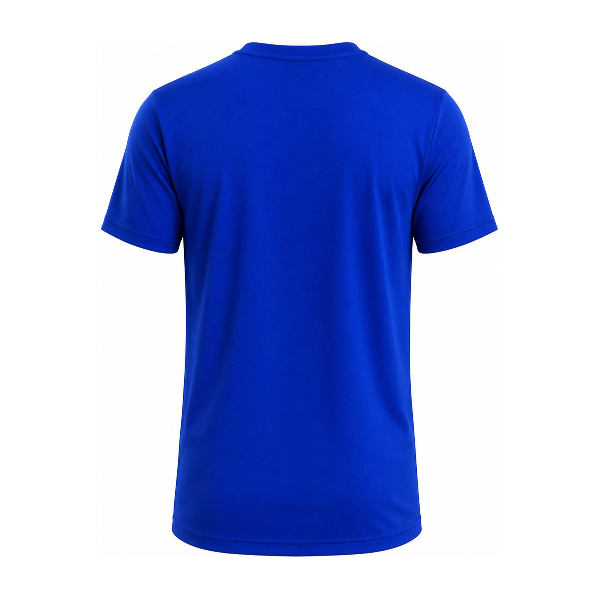 Aussie Pacific Botany Mens Tee 1207 in Royal, back view