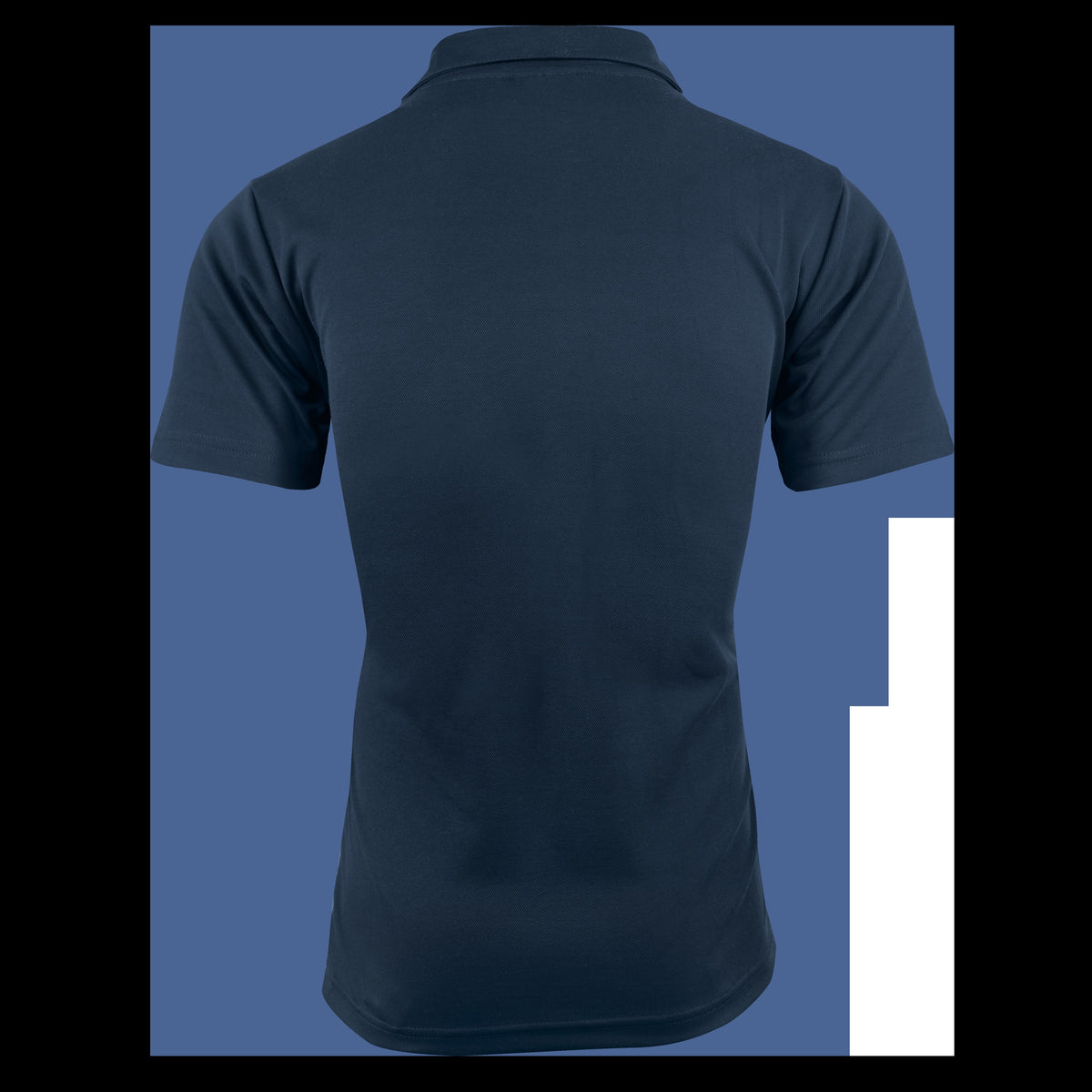 Aussie Pacific Paterson Mens Polo 1305 in Navy/White, back view