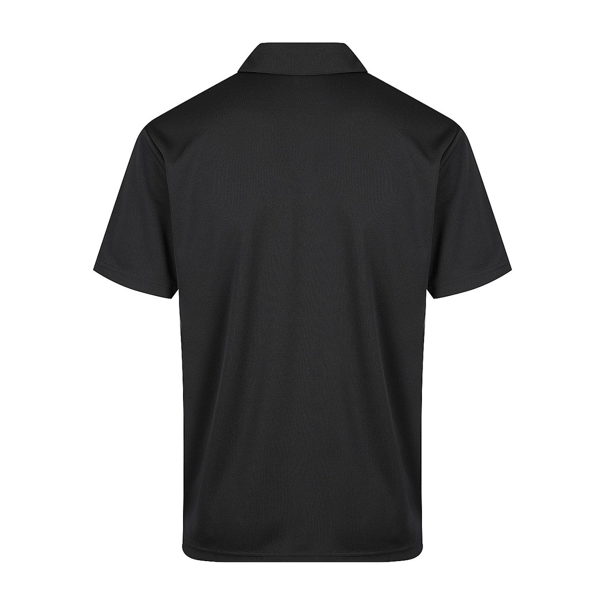 Aussie Pacific Botany Mens Polo 1307 in Black, back view