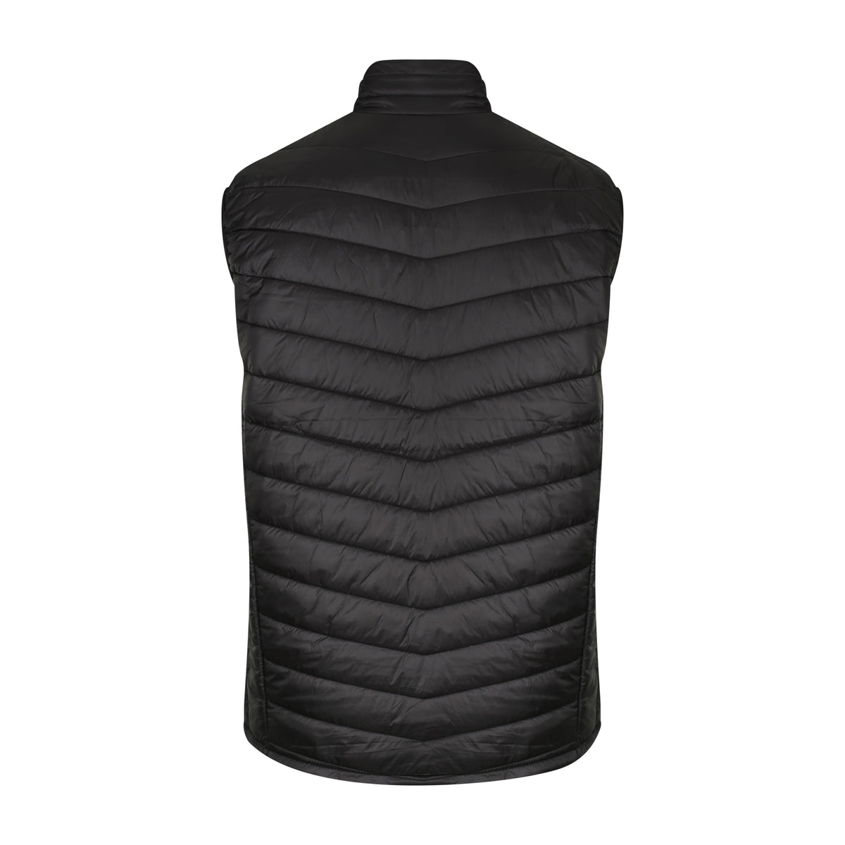Aussie Pacific Snowy Mens Vest 1523 in Black, back view