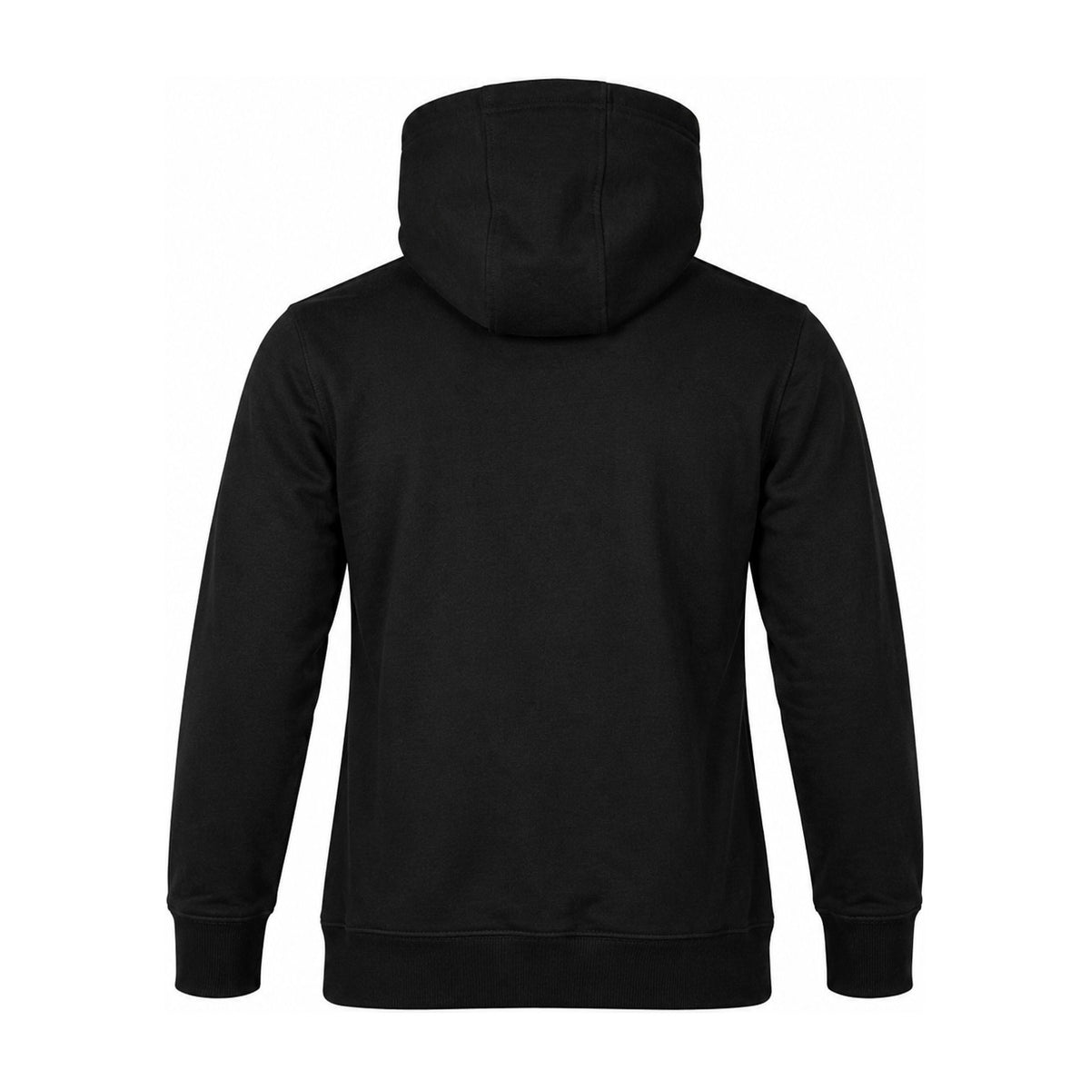 Aussie Pacific Brunswick Mens Hoodie 1533 in Black, back view