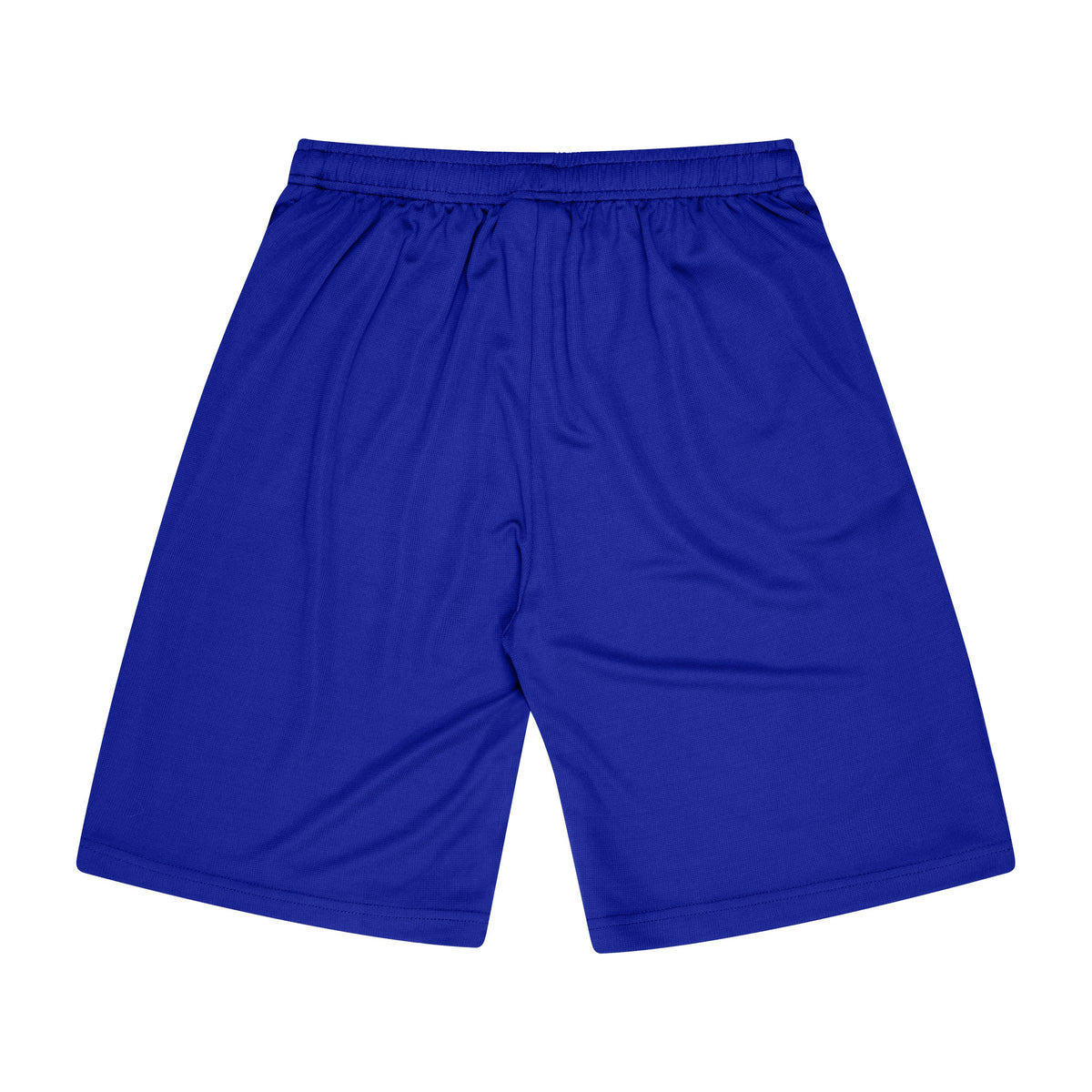 Aussie Pacific Sports Short Kids Shorts 3601 in Royal, back view