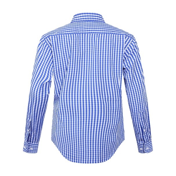 Pilbara Womens Check Long Sleeve Shirt RMPC003 in Blue/White Check, back view
